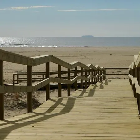 Pelicanos Ayamonte